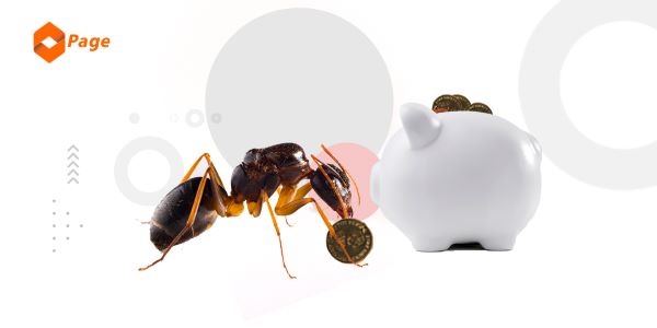 Money Lessons We Can Learn from Ants